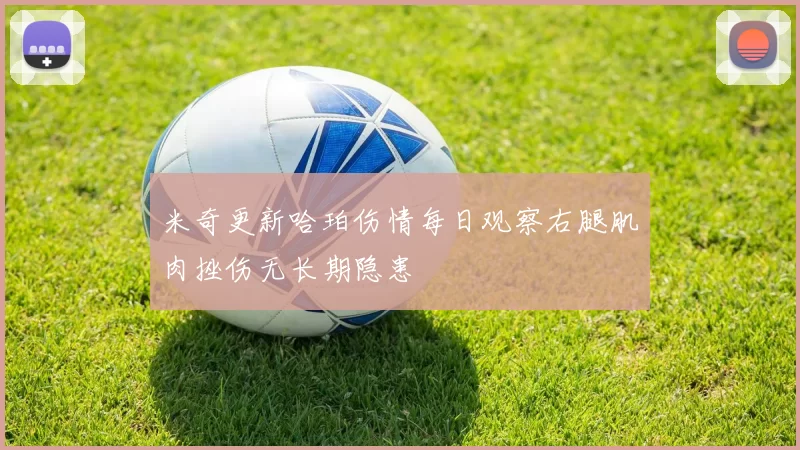 米奇更新哈珀伤情每日观察右腿肌肉挫伤无长期隐患